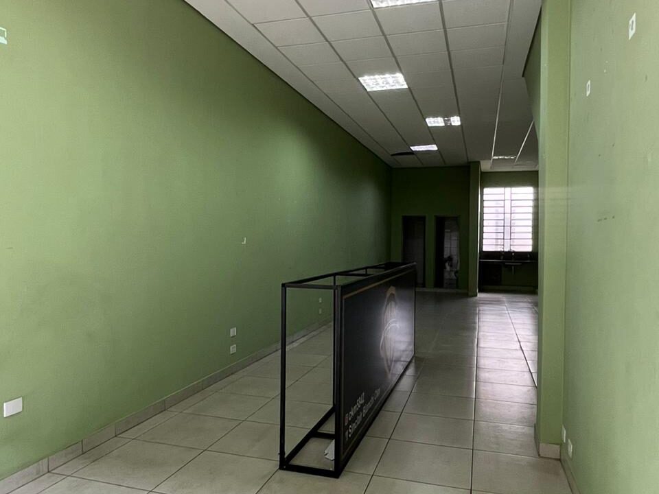 WhatsApp Image 2026-02-19 at 20.08.07