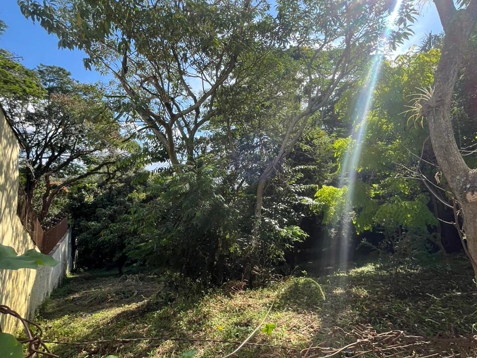 WhatsApp Image 2026-03-03 at 14.49.29