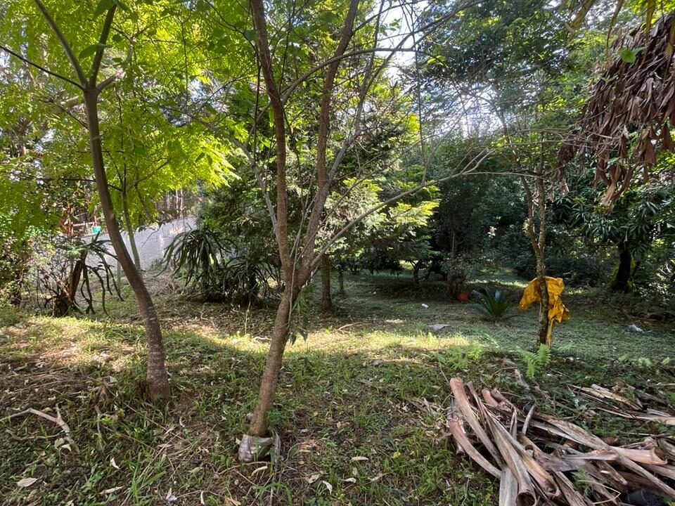 WhatsApp Image 2026-03-03 at 14.49.30 (1)